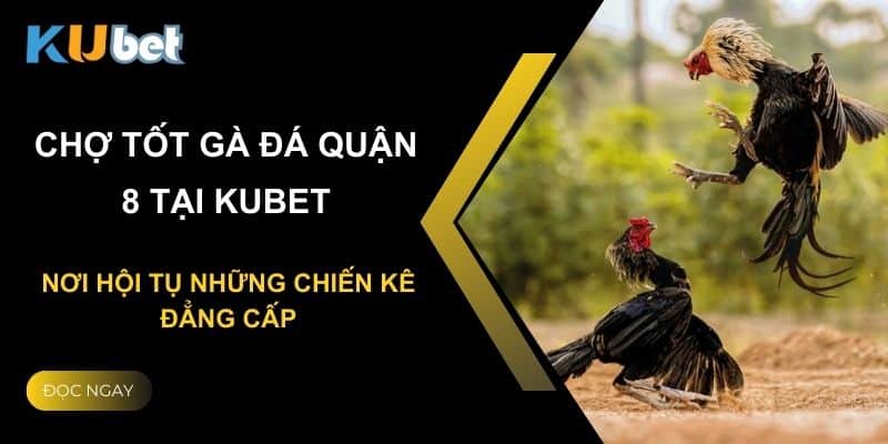 Chợ tốt gà đá quận 8 tại Kubet: Nơi hội tụ những chiến kê đẳng cấp