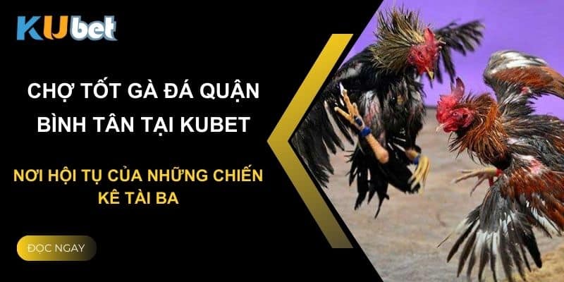 Chợ tốt gà đá quận Bình Tân tại Kubet: Nơi hội tụ của những chiến kê tài ba