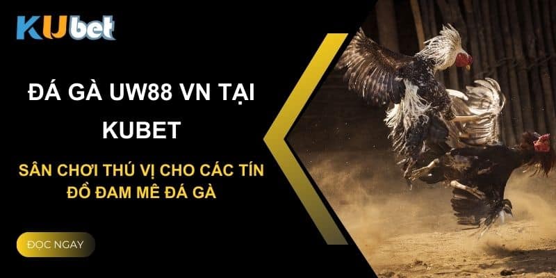 Đá gà uw88 vn tại Kubet: Sân chơi thú vị cho các tín đồ đam mê đá gà