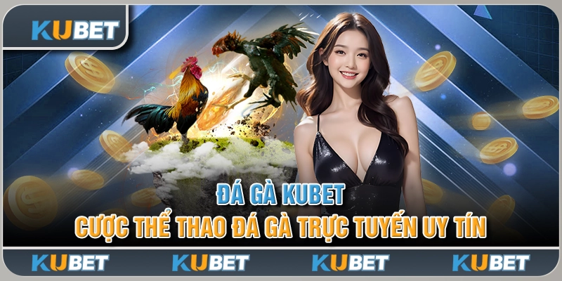 Đá Gà Kubet